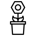 Saksı Çiçekler